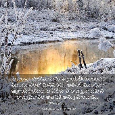 Picture 03 - 1 దినవృత్తాంతాలు 29:25 TELIRV - యెహోవా సొలొమోనును - Bible Verse Picture