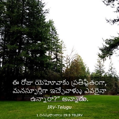 Picture 03 - 1 దినవృత్తాంతాలు 29:5 TELIRV - ఈ రోజు యెహోవాకు - Bible Verse Picture