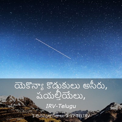 Picture 03 - 1 దినవృత్తాంతాలు 3:17 TELIRV - యెకొన్యా కొడుకులు - Bible Verse Picture