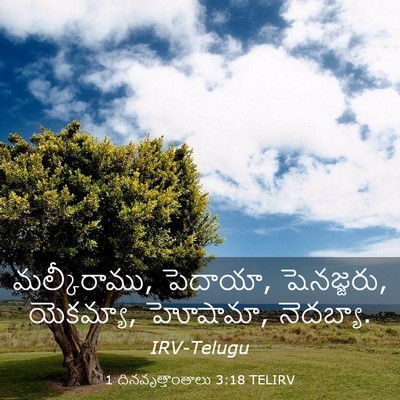 Picture 03 - 1 దినవృత్తాంతాలు 3:18 TELIRV - మల్కీరాము, పెదాయా, - Bible Verse Picture