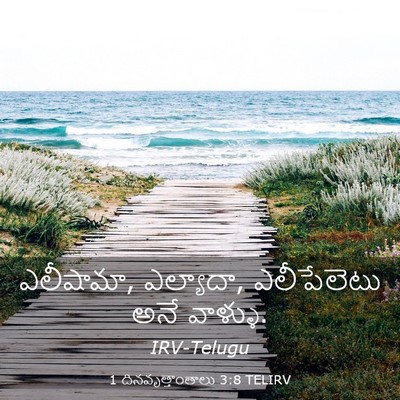 Picture 03 - 1 దినవృత్తాంతాలు 3:8 TELIRV - ఎలీషామా, ఎల్యాదా, - Bible Verse Picture