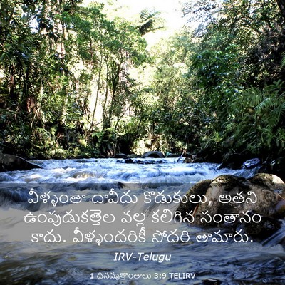 Picture 03 - 1 దినవృత్తాంతాలు 3:9 TELIRV - వీళ్ళంతా దావీదు - Bible Verse Picture