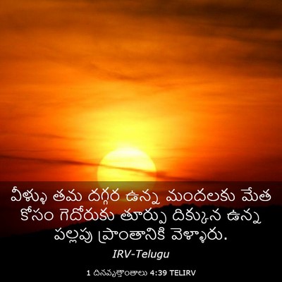 Picture 03 - 1 దినవృత్తాంతాలు 4:39 TELIRV - వీళ్ళు తమ దగ్గర - Bible Verse Picture