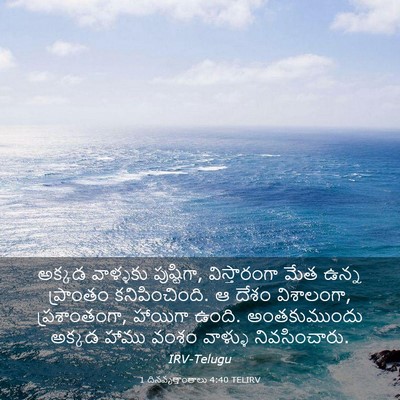 Picture 03 - 1 దినవృత్తాంతాలు 4:40 TELIRV - అక్కడ వాళ్ళకు - Bible Verse Picture