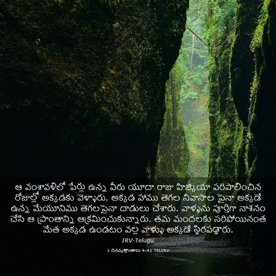 Picture 03 - 1 దినవృత్తాంతాలు 4:41 TELIRV - ఆ వంశావళిలో - Bible Verse Picture