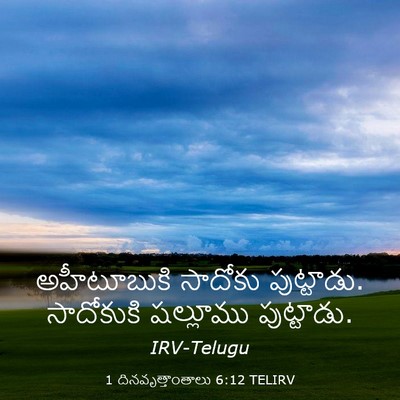Picture 03 - 1 దినవృత్తాంతాలు 6:12 TELIRV - అహీటూబుకి సాదోకు - Bible Verse Picture