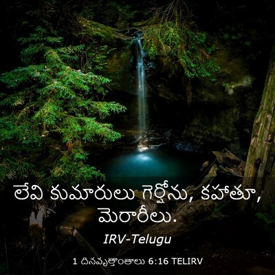 Picture 03 - 1 దినవృత్తాంతాలు 6:16 TELIRV - లేవి కుమారులు - Bible Verse Picture