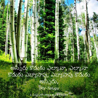 Picture 03 - 1 దినవృత్తాంతాలు 6:23 TELIRV - అస్సీరు కొడుకు - Bible Verse Picture