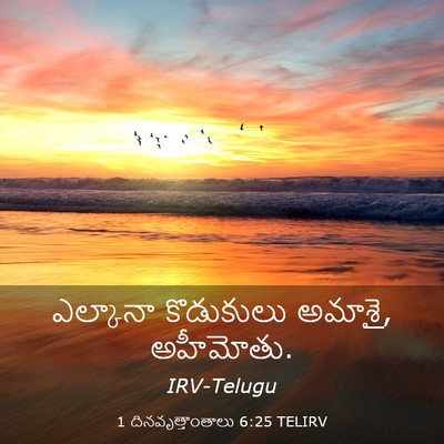 Picture 03 - 1 దినవృత్తాంతాలు 6:25 TELIRV - ఎల్కానా కొడుకులు - Bible Verse Picture