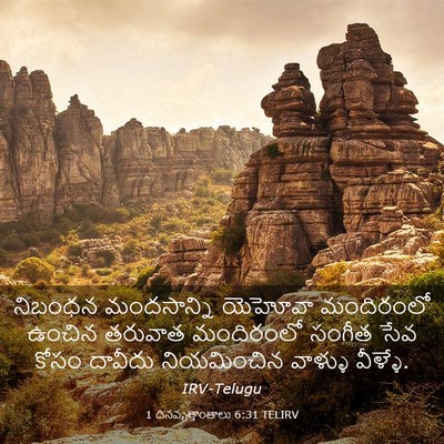 Picture 03 - 1 దినవృత్తాంతాలు 6:31 TELIRV - నిబంధన మందసాన్ని - Bible Verse Picture
