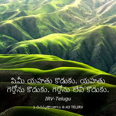 Picture 03 - 1 దినవృత్తాంతాలు 6:43 TELIRV - షిమీ యహతు కొడుకు. - Bible Verse Picture