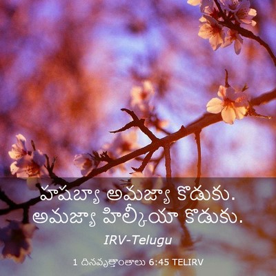 Picture 03 - 1 దినవృత్తాంతాలు 6:45 TELIRV - హషబ్యా అమజ్యా - Bible Verse Picture
