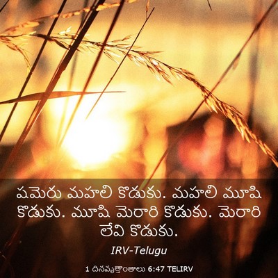 Picture 03 - 1 దినవృత్తాంతాలు 6:47 TELIRV - షమెరు మహలి కొడుకు. - Bible Verse Picture