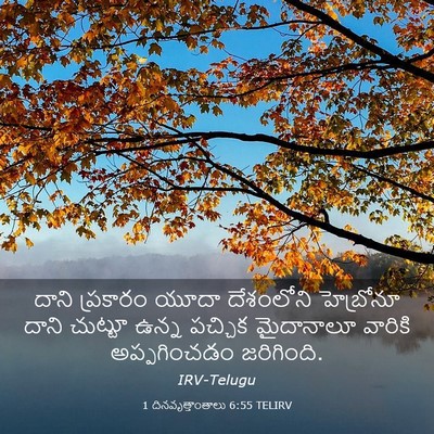 Picture 03 - 1 దినవృత్తాంతాలు 6:55 TELIRV - దాని ప్రకారం యూదా - Bible Verse Picture