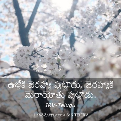 Picture 03 - 1 దినవృత్తాంతాలు 6:6 TELIRV - ఉజ్జీకి జెరహ్యా - Bible Verse Picture