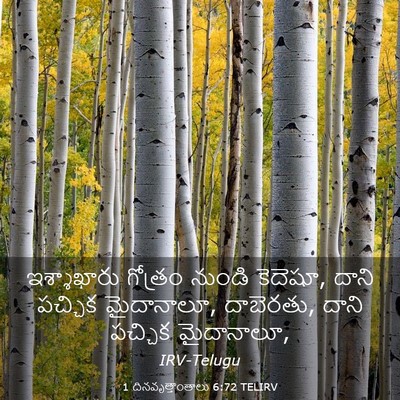 Picture 03 - 1 దినవృత్తాంతాలు 6:72 TELIRV - ఇశ్శాఖారు గోత్రం - Bible Verse Picture