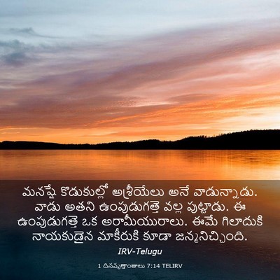 Picture 03 - 1 దినవృత్తాంతాలు 7:14 TELIRV - మనష్షే కొడుకుల్లో - Bible Verse Picture