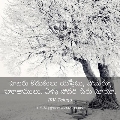 Picture 03 - 1 దినవృత్తాంతాలు 7:32 TELIRV - హెబెరు కొడుకులు - Bible Verse Picture