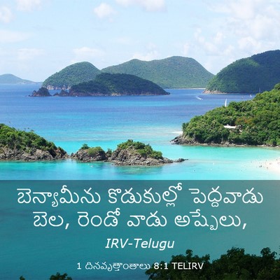 Picture 03 - 1 దినవృత్తాంతాలు 8:1 TELIRV - బెన్యామీను - Bible Verse Picture
