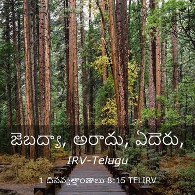 Picture 03 - 1 దినవృత్తాంతాలు 8:15 TELIRV - జెబద్యా, అరాదు, - Bible Verse Picture