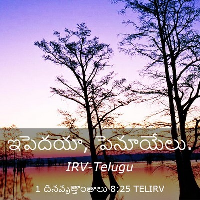 Picture 03 - 1 దినవృత్తాంతాలు 8:25 TELIRV - ఇపెదయా, - Bible Verse Picture