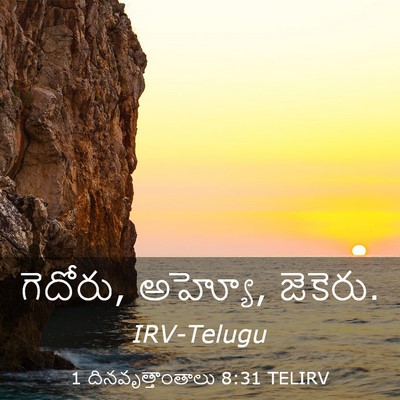 Picture 03 - 1 దినవృత్తాంతాలు 8:31 TELIRV - గెదోరు, అహ్యో, - Bible Verse Picture