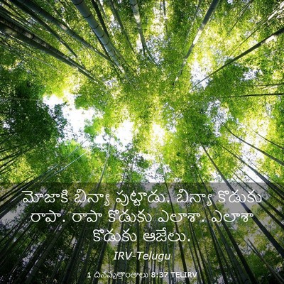 Picture 03 - 1 దినవృత్తాంతాలు 8:37 TELIRV - మోజాకి బిన్యా - Bible Verse Picture