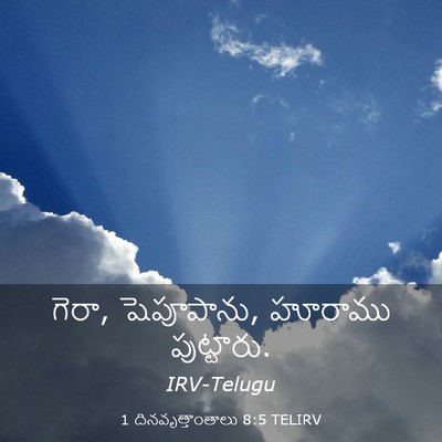 Picture 03 - 1 దినవృత్తాంతాలు 8:5 TELIRV - గెరా, షెపూపాను, - Bible Verse Picture