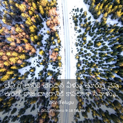 Picture 03 - 1 దినవృత్తాంతాలు 9:18 TELIRV - లేవీ గోత్రానికి - Bible Verse Picture