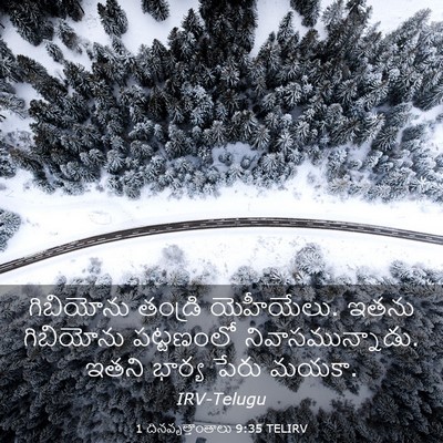 Picture 03 - 1 దినవృత్తాంతాలు 9:35 TELIRV - గిబియోను తండ్రి - Bible Verse Picture