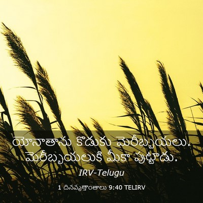 Picture 03 - 1 దినవృత్తాంతాలు 9:40 TELIRV - యోనాతాను కొడుకు - Bible Verse Picture
