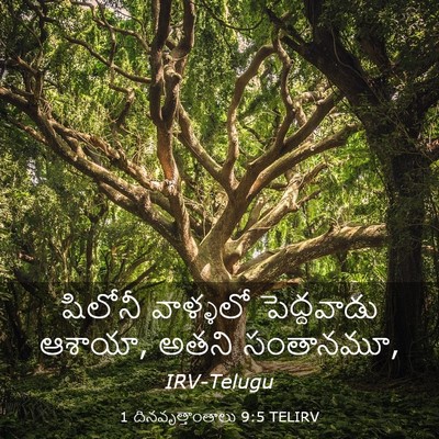 Picture 03 - 1 దినవృత్తాంతాలు 9:5 TELIRV - షిలోనీ వాళ్ళలో - Bible Verse Picture