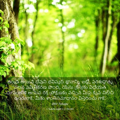 Picture 03 - 1 పేతురు పత్రిక 1:2 TELIRV - తండ్రి అయిన - Bible Verse Picture
