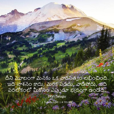 Picture 03 - 1 పేతురు పత్రిక 1:4 TELIRV - దీని మూలంగా మనకు - Bible Verse Picture