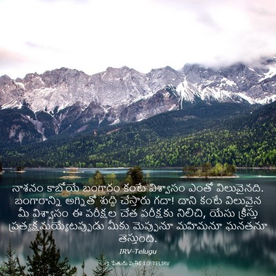 Picture 03 - 1 పేతురు పత్రిక 1:7 TELIRV - నాశనం కాబోయే - Bible Verse Picture