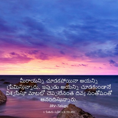 Picture 03 - 1 పేతురు పత్రిక 1:8 TELIRV - మీరాయన్ని - Bible Verse Picture