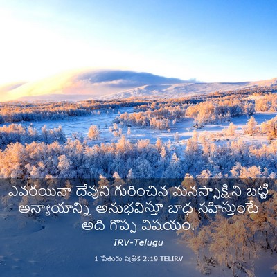 Picture 03 - 1 పేతురు పత్రిక 2:19 TELIRV - ఎవరయినా దేవుని - Bible Verse Picture