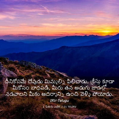 Picture 03 - 1 పేతురు పత్రిక 2:21 TELIRV - దీనికోసమే దేవుడు - Bible Verse Picture