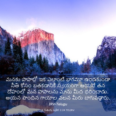 Picture 03 - 1 పేతురు పత్రిక 2:24 TELIRV - మనకు పాపాల్లో ఇక - Bible Verse Picture