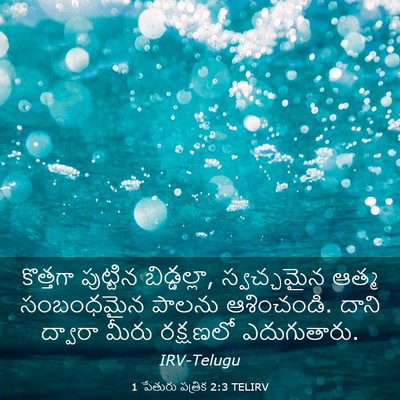 Picture 03 - 1 పేతురు పత్రిక 2:3 TELIRV - కొత్తగా పుట్టిన - Bible Verse Picture