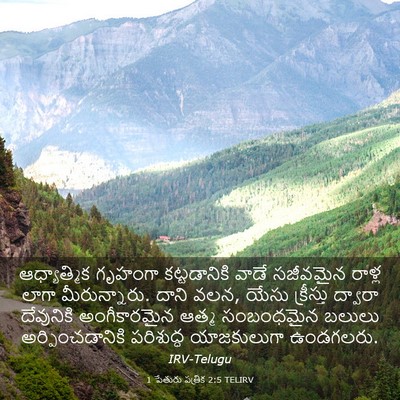 Picture 03 - 1 పేతురు పత్రిక 2:5 TELIRV - ఆధ్యాత్మిక గృహంగా - Bible Verse Picture