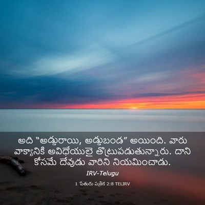 Picture 03 - 1 పేతురు పత్రిక 2:8 TELIRV - అది “అడ్డురాయి, - Bible Verse Picture