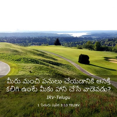 Picture 03 - 1 పేతురు పత్రిక 3:13 TELIRV - మీరు మంచి పనులు - Bible Verse Picture