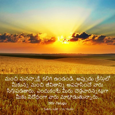 Picture 03 - 1 పేతురు పత్రిక 3:16 TELIRV - మంచి మనస్సాక్షి - Bible Verse Picture