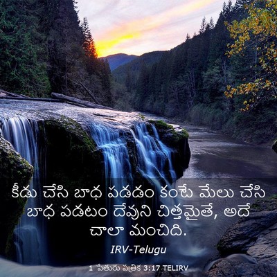 Picture 03 - 1 పేతురు పత్రిక 3:17 TELIRV - కీడు చేసి బాధ పడడం - Bible Verse Picture