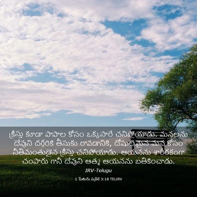Picture 03 - 1 పేతురు పత్రిక 3:18 TELIRV - క్రీస్తు కూడా - Bible Verse Picture
