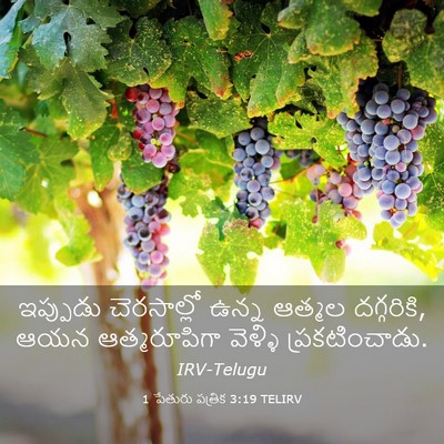 Picture 03 - 1 పేతురు పత్రిక 3:19 TELIRV - ఇప్పుడు చెరసాల్లో - Bible Verse Picture