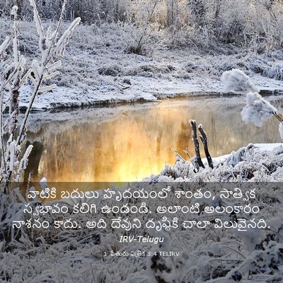 Picture 03 - 1 పేతురు పత్రిక 3:4 TELIRV - వాటికి బదులు - Bible Verse Picture
