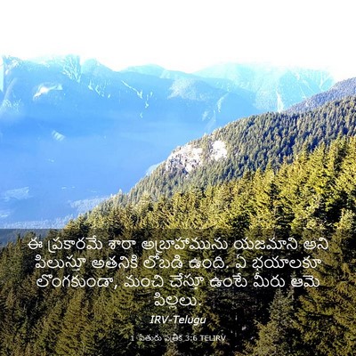 Picture 03 - 1 పేతురు పత్రిక 3:6 TELIRV - ఈ ప్రకారమే శారా - Bible Verse Picture