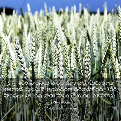 Picture 03 - 1 పేతురు పత్రిక 4:1 TELIRV - క్రీస్తు శరీర - Bible Verse Picture